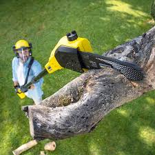 Best Lawn Watering Services  in Tainter Lake, WI